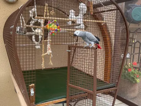 Maison de charme en Berry près d'un golf & spa, jardin d'hiver, vélos, animaux bienvenus - tout inclus - Photo 16