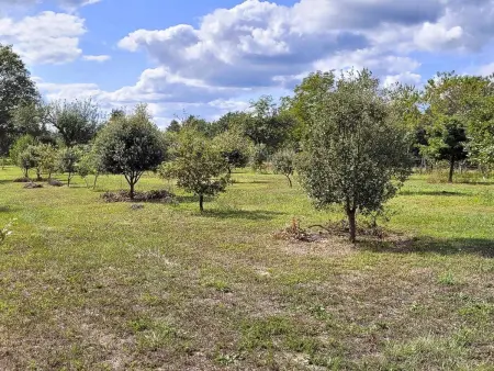 Charmante maison en pierre avec jardin, cheminée et Wifi - Photo 1