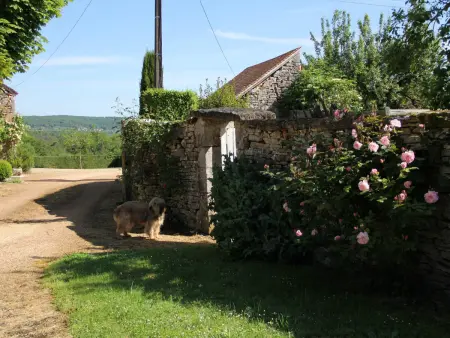 Charmante maison en pierre avec jardin, cheminée et Wifi - Photo 32
