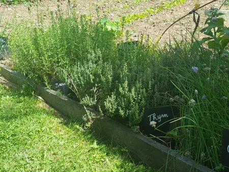 Charmante maison en pierre avec jardin, cheminée et Wifi - Photo 34