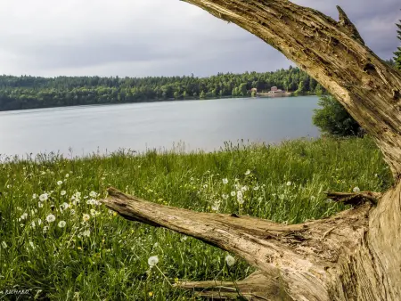 Gîte rénové idéal pour randos et astronomie, calme assuré, proche Puy-en-Velay et activités nature. - Photo 22
