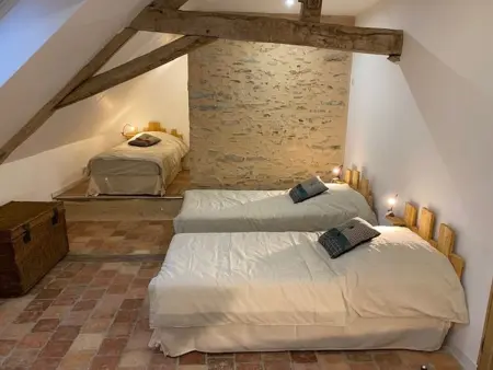Château XIXème près du Mans : Piscine, Parc, Proche Forêt et Cité Médiévale - Photo 15