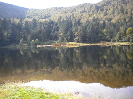 Chalet cosy proche de Gérardmer et Colmar - Nature, WIFI, 2 chambres, terrasse, garage - Photo 9