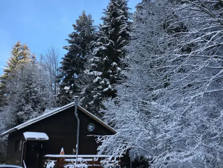 Chalet cosy proche de Gérardmer et Colmar - Nature, WIFI, 2 chambres, terrasse, garage - Photo 10
