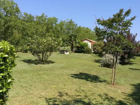 Maison périgourdine avec piscine et animaux acceptés à Daglan - Photo 17