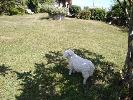 Maison périgourdine avec piscine et animaux acceptés à Daglan - Photo 21