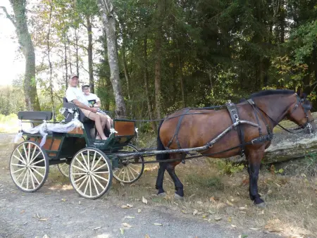 Maison au cœur du Parc Périgord Limousin avec climatisation - Photo 14