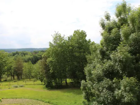 Maison de charme avec jardin et animaux acceptés à Monsac - Photo 22