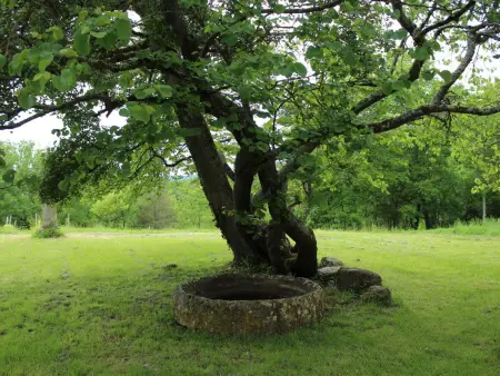 Maison de charme avec jardin et animaux acceptés à Monsac - Photo 31