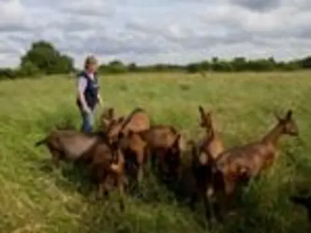 Séjour nature au cœur du Parc de la Brenne: gîte 4 chambres, jardin et terrasse, proche de Rosnay - Photo 23