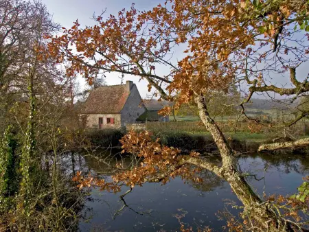 Séjour nature au cœur du Parc de la Brenne: gîte 4 chambres, jardin et terrasse, proche de Rosnay - Photo 26