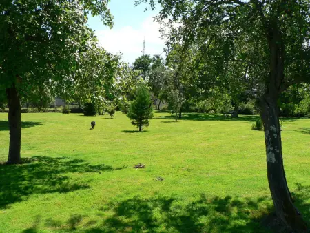 Gîte de charme en Berry avec jardin privatif, idéal pour randonnées et observation des oiseaux - Photo 5
