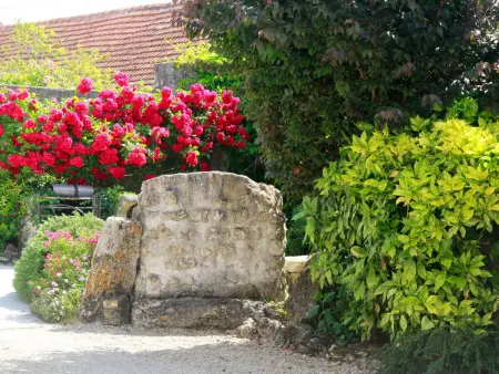 Gîte spacieux au cœur du Val de Loire, entre Orléans et Blois, avec jardin, cour fermée et BBQ ! - Photo 22