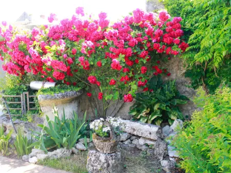 Gîte spacieux au cœur du Val de Loire, entre Orléans et Blois, avec jardin, cour fermée et BBQ ! - Photo 23