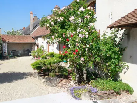 Gîte spacieux au cœur du Val de Loire, entre Orléans et Blois, avec jardin, cour fermée et BBQ ! - Photo 24