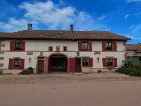 Gîte spacieux avec terrasse, 3 chambres, équipements bébé, à 16 km de Gérardmer - Photo 26