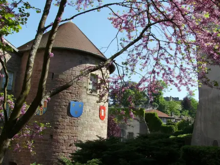 Charmant appartement tout confort près d'Épinal avec jardin et parking - Photo 18