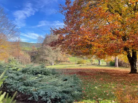Superbe Ferme Rénovée avec Cheminée, Wifi, et Jeux Extérieurs près de Gérardmer et Épinal - Photo 30