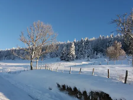 Chalet romantique avec terrasse, confort moderne, proche activités nature et ski à Cornimont - Photo 23