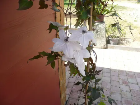 Gîte Tranquille avec Cheminée, Terrasse sur la Saône et Borne EV, Animaux Bienvenus - Photo 22