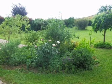 Gîte de Charme avec Terrasse près de Bourbonne-les-Bains, 2 chambres, poêle à bois, Wifi inclus - Photo 20