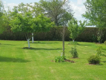 Gîte de Charme avec Terrasse près de Bourbonne-les-Bains, 2 chambres, poêle à bois, Wifi inclus - Photo 24