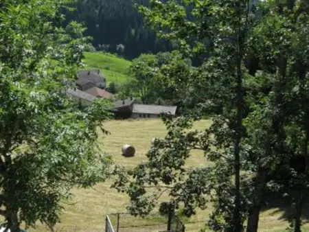 Chalet spacieux avec balcon, WiFi gratuit, proche lac et station de ski - Photo 34