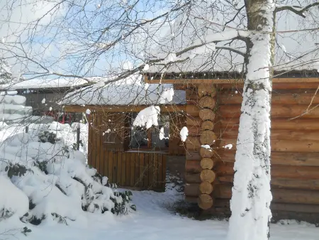 Chalet en Rondins Au Cœur de la Nature avec Confort Moderne près de Strasbourg - Photo 15