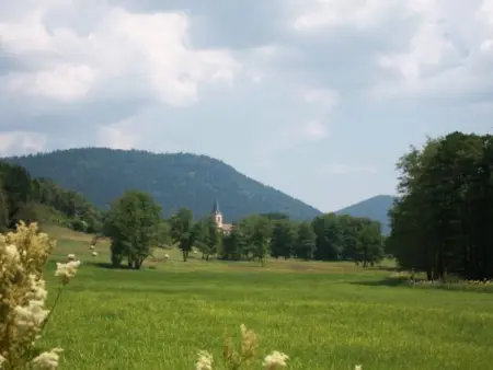 Chalet en Rondins Au Cœur de la Nature avec Confort Moderne près de Strasbourg - Photo 23
