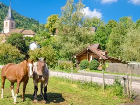 Chalet en Rondins Au Cœur de la Nature avec Confort Moderne près de Strasbourg - Photo 29