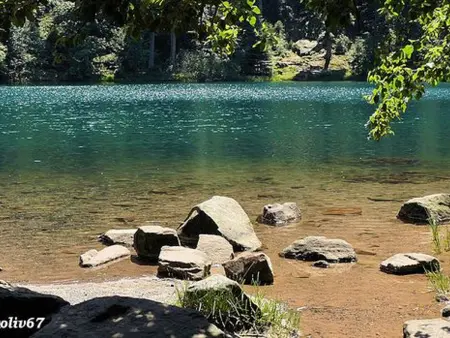 Chalet en Rondins Au Cœur de la Nature avec Confort Moderne près de Strasbourg - Photo 35