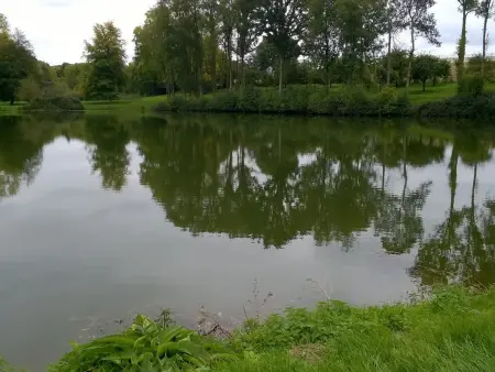 Maison de charme en pleine nature avec étang de pêche, proche d'Authon-du-Perche, animaux admis. - Photo 8
