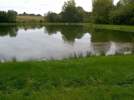 Maison de charme en pleine nature avec étang de pêche, proche d'Authon-du-Perche, animaux admis. - Photo 9