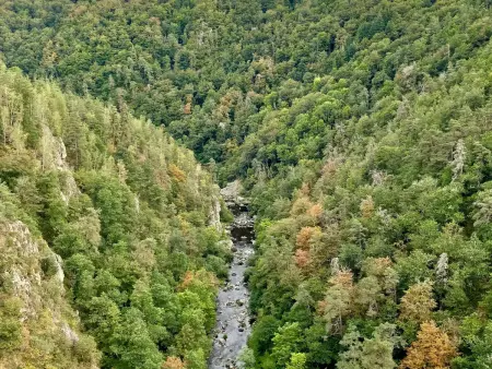 Charmante maison en pierre près du Lac de Lavalette, idéale pour randos, nature et détente totale - Photo 22