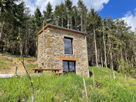Maison de vigne rénovée à Langeac, nature et randonnées - Photo 1