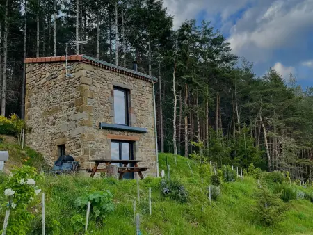 Maison de vigne rénovée à Langeac, nature et randonnées - Photo 6