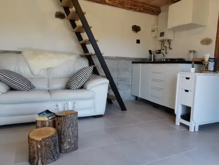 Maison de vigne rénovée à Langeac, nature et randonnées - Photo 9