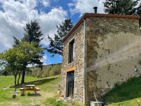 Maison de vigne rénovée à Langeac, nature et randonnées - Photo 14