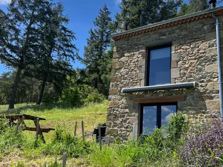 Maison de vigne rénovée à Langeac, nature et randonnées - Photo 26