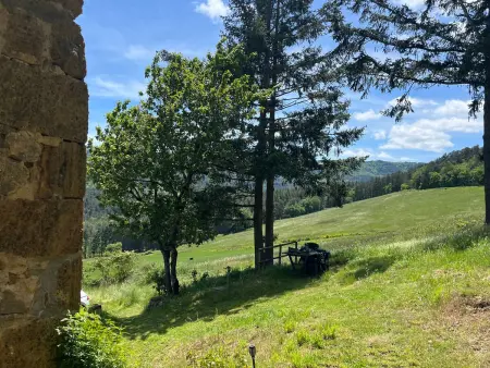 Maison de vigne rénovée à Langeac, nature et randonnées - Photo 28