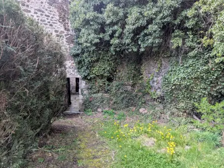 Gîte 4 pers avec cour, vue Loire, Gite 4 personnes à Arlempdes - Photo 16