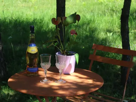 Gîte Nature au Chambon-sur-Lignon: Terrasse, Wifi, Proche Activités et Commerces - Photo 19