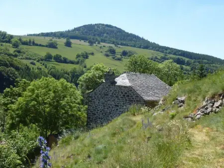 Gîte paisible et chaleureux avec grande terrasse - activités nature et patrimoine à proximité - Photo 13