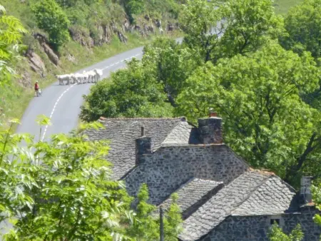 Gîte paisible et chaleureux avec grande terrasse - activités nature et patrimoine à proximité - Photo 14