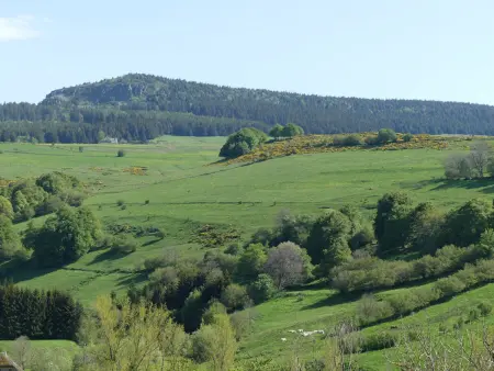 Gîte paisible et chaleureux avec grande terrasse - activités nature et patrimoine à proximité - Photo 15