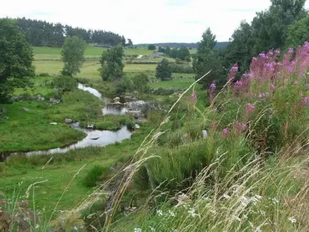 Maison de charme restaurée au bord d'un ruisseau avec terrasse, proche activités de plein air et confort moderne - Photo 15