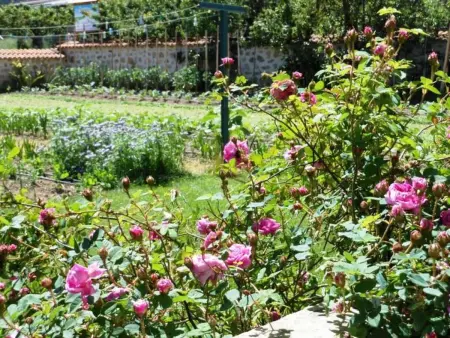 Gîte de charme en Auvergne, cour fermée, jardins privés, BBQ, babyfoot, proche St Jacques de Compostelle - Photo 19