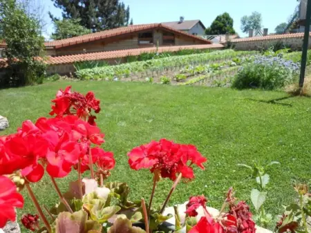 Gîte de charme en Auvergne, cour fermée, jardins privés, BBQ, babyfoot, proche St Jacques de Compostelle - Photo 20