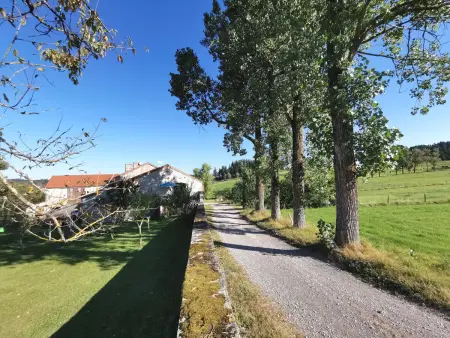 Charmant gîte à Saint-Romain-Lachalm avec terrasse et proximité Dunières - Photo 9