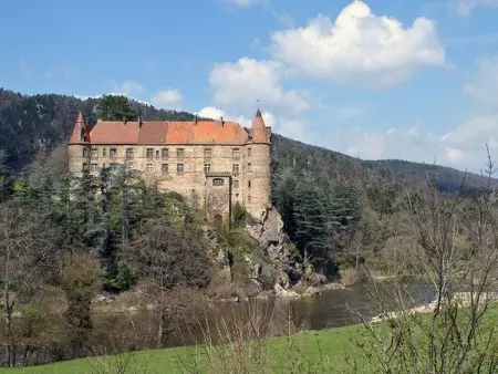 Charmant gîte à Saint-Romain-Lachalm avec terrasse et proximité Dunières - Photo 12
